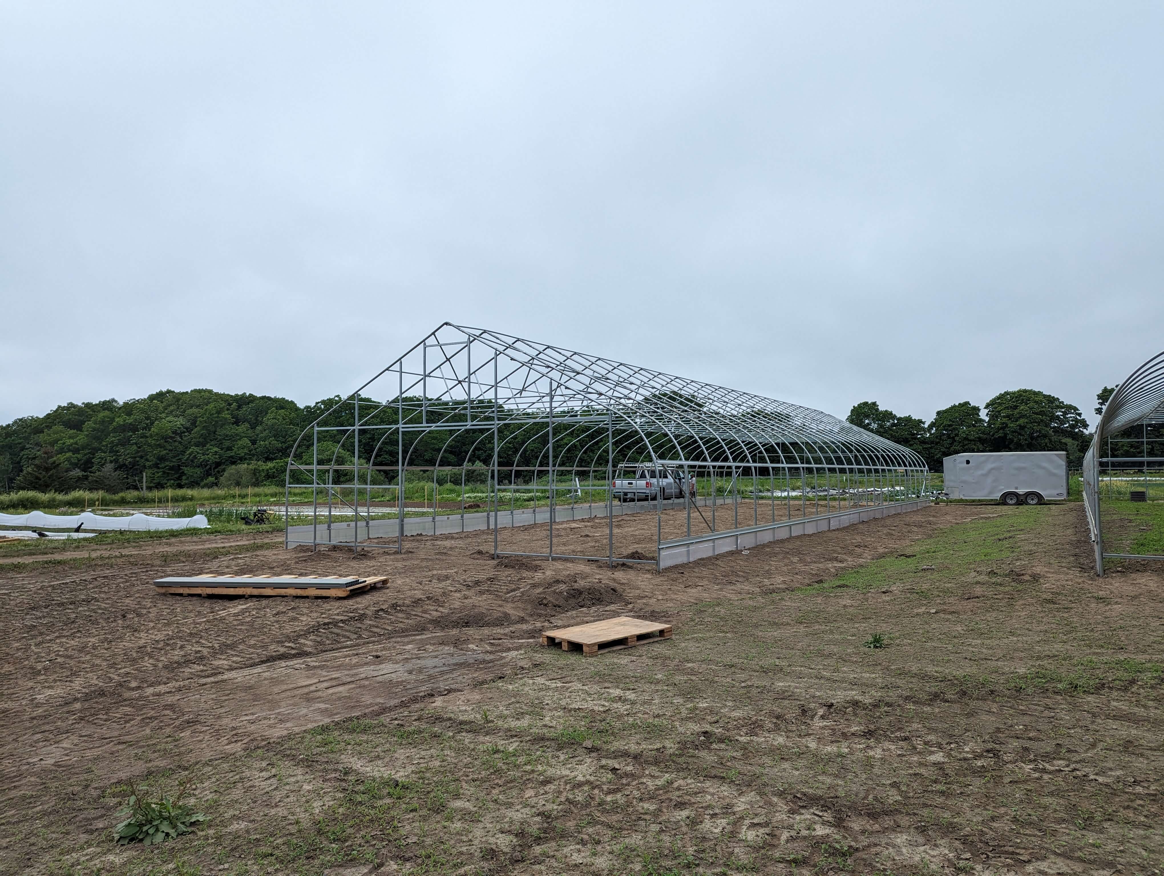pxl-20240606-200921111.jpg